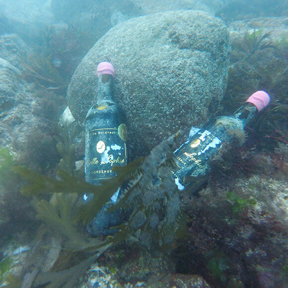 Vin immergé en eau de mer