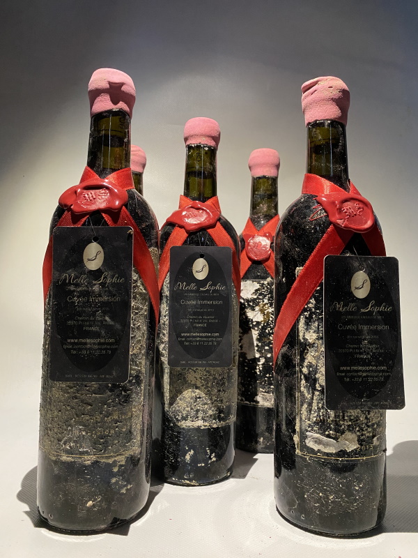 Cuvée spéciale immersion Melle Sophie vin de Bordeaux